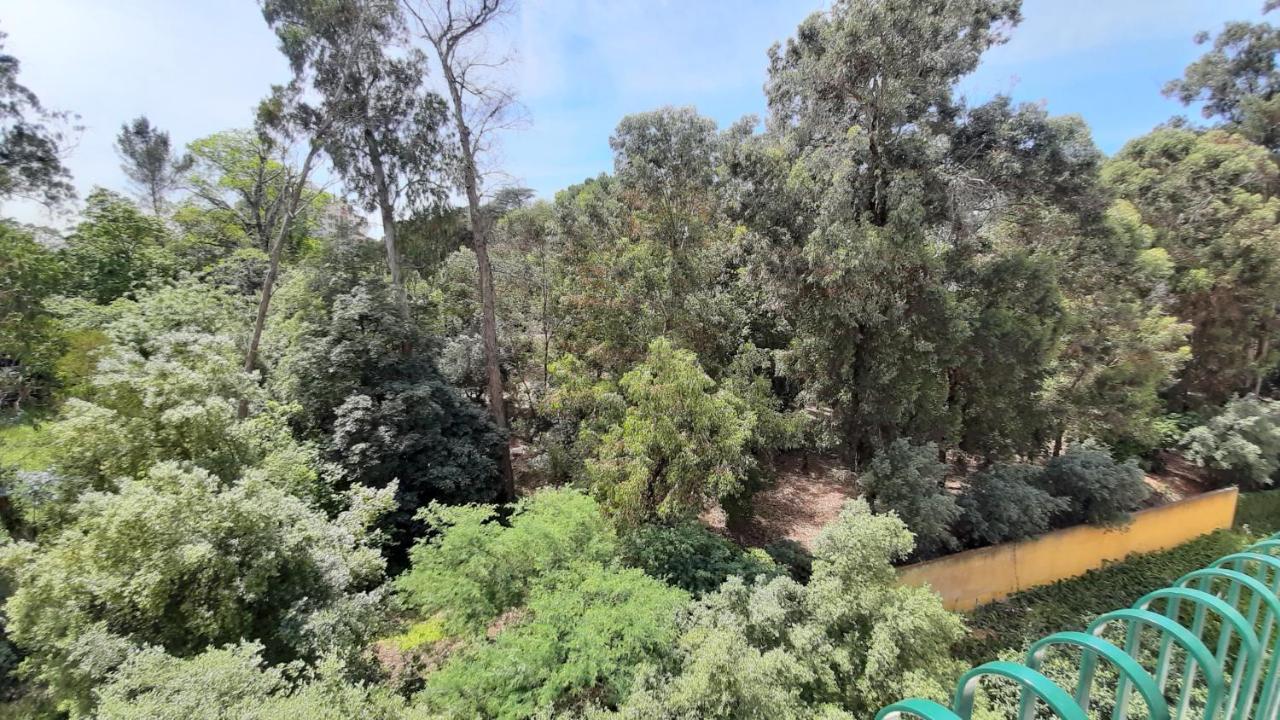 Forest View Lisbon Exterior photo